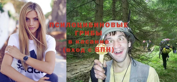 винт Алексин