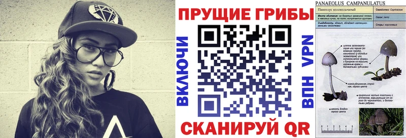 блэк спрут рабочий сайт  Дегтярск  Псилоцибиновые грибы мухоморы 