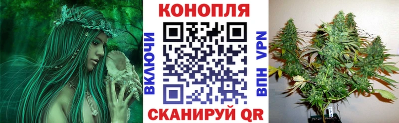купить наркотики сайты  Дегтярск  Конопля конопля 